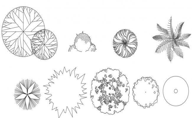 Plant detail 2d view layout revit file - Cadbull