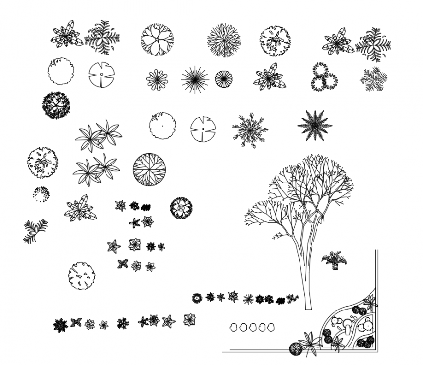 Unique flower plant 2d elevation block details dwg file - Cadbull