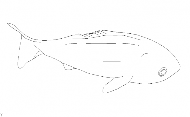 fish dwg file