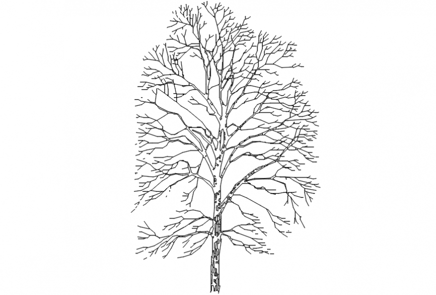 Miscellaneous cypress tree front and top view blocks cad drawing ...