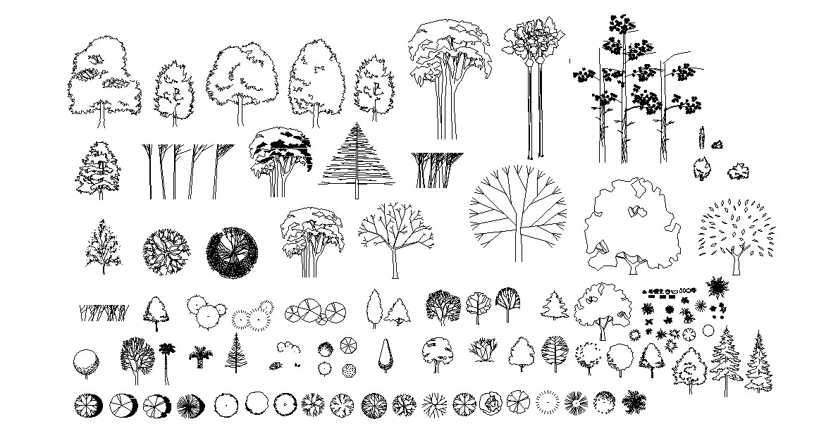 Autocad drawing of trees Cadbull