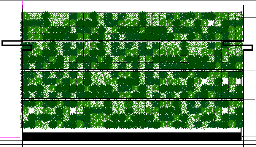 decorative-green-wall-detail-of-garden-dwg-file-cadbull