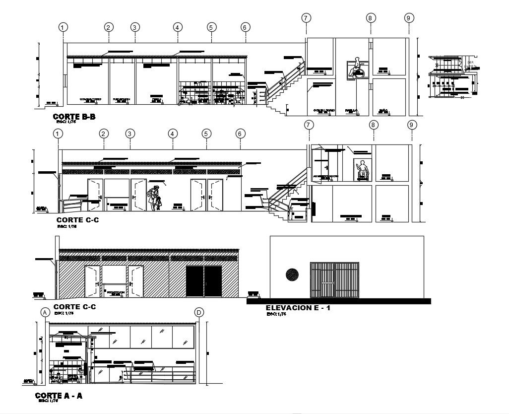 Elevation and section Office Building CAD Drawing