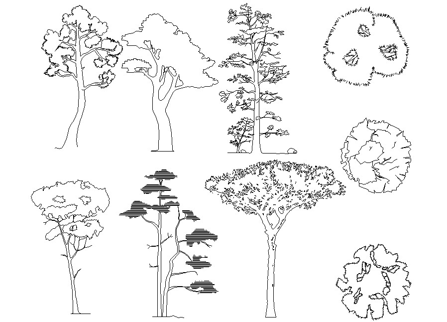 Landscaping blocks 2d drawing - Cadbull