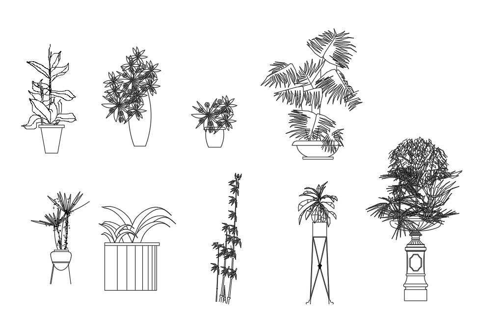 The CAD drawing having the details of wonderful plants with pots 2d ...