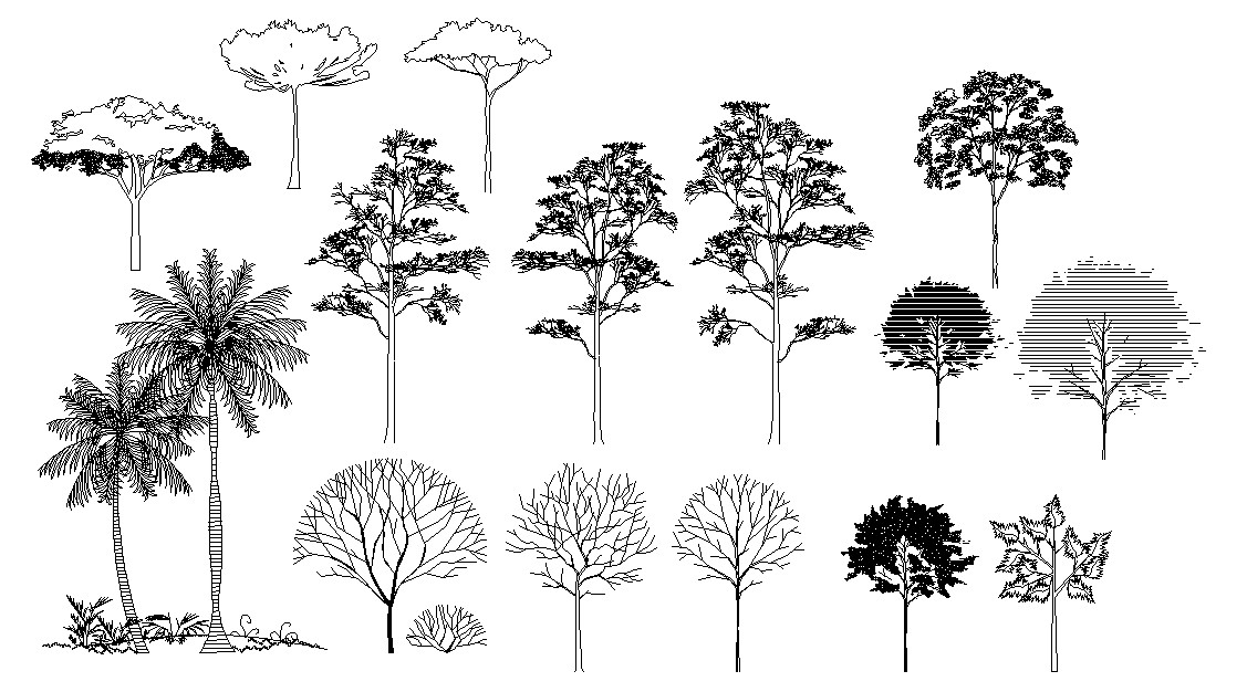 tree-cad-blocks-free-elevation-design-cadbull