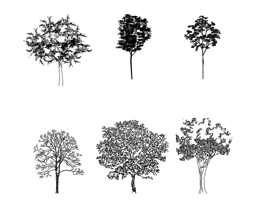 Autocad 3d Tree Blocks Free Download