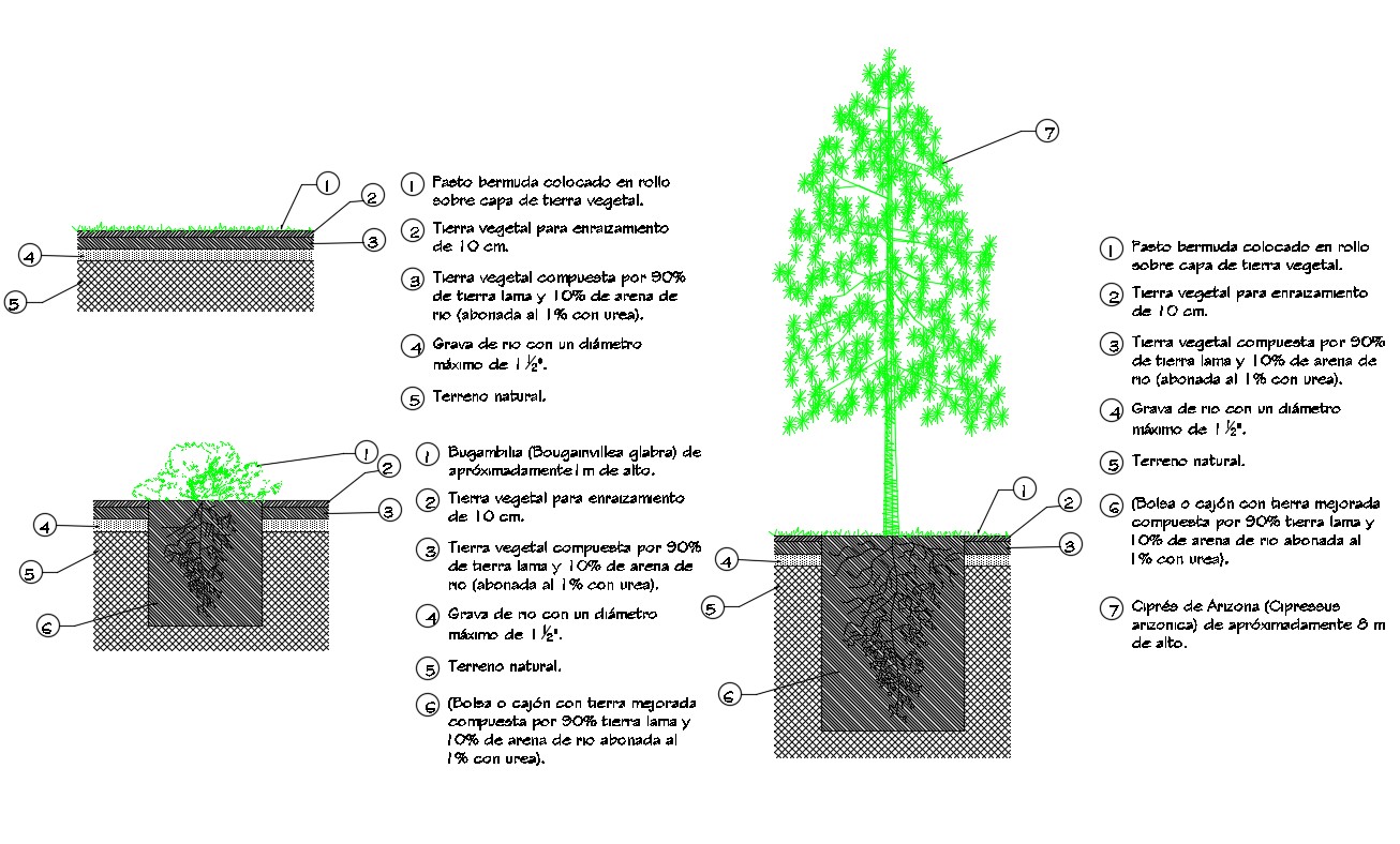 Tree planting structure cad drawing details dwg file Cadbull