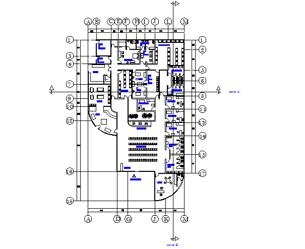 Veterinary clinic plan detail dwg file - Cadbull