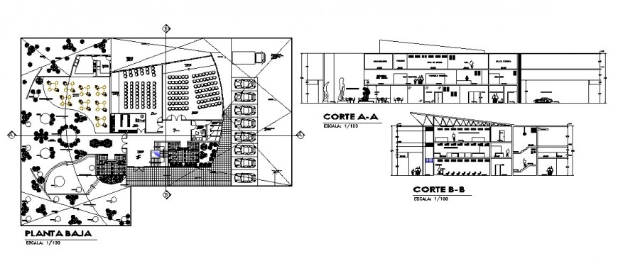 Modern art museum section and ground floor plan cad